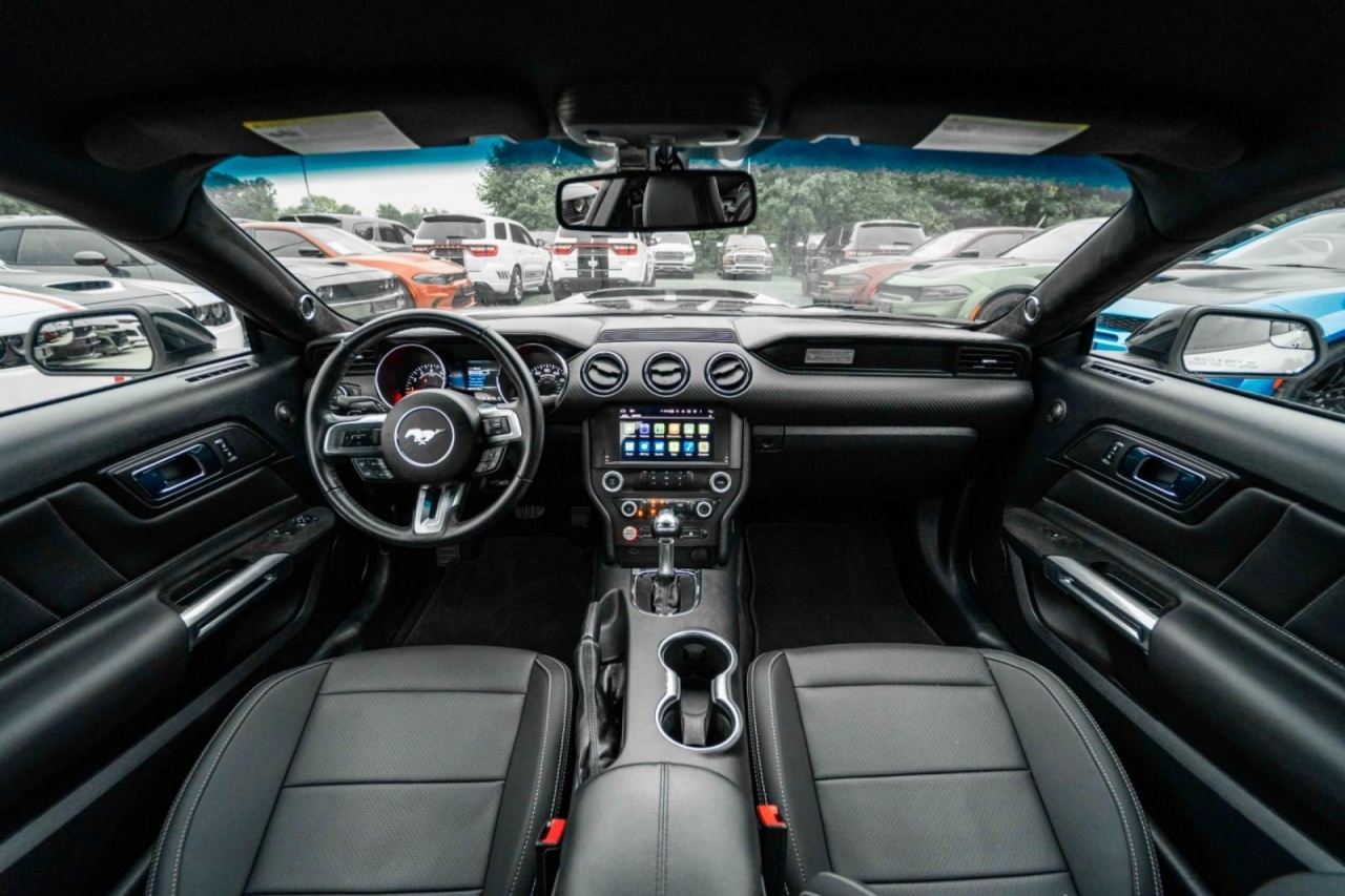 photo.jpg?1761576894