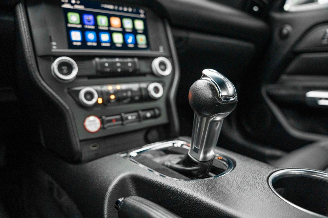 photo.jpg?1761576895