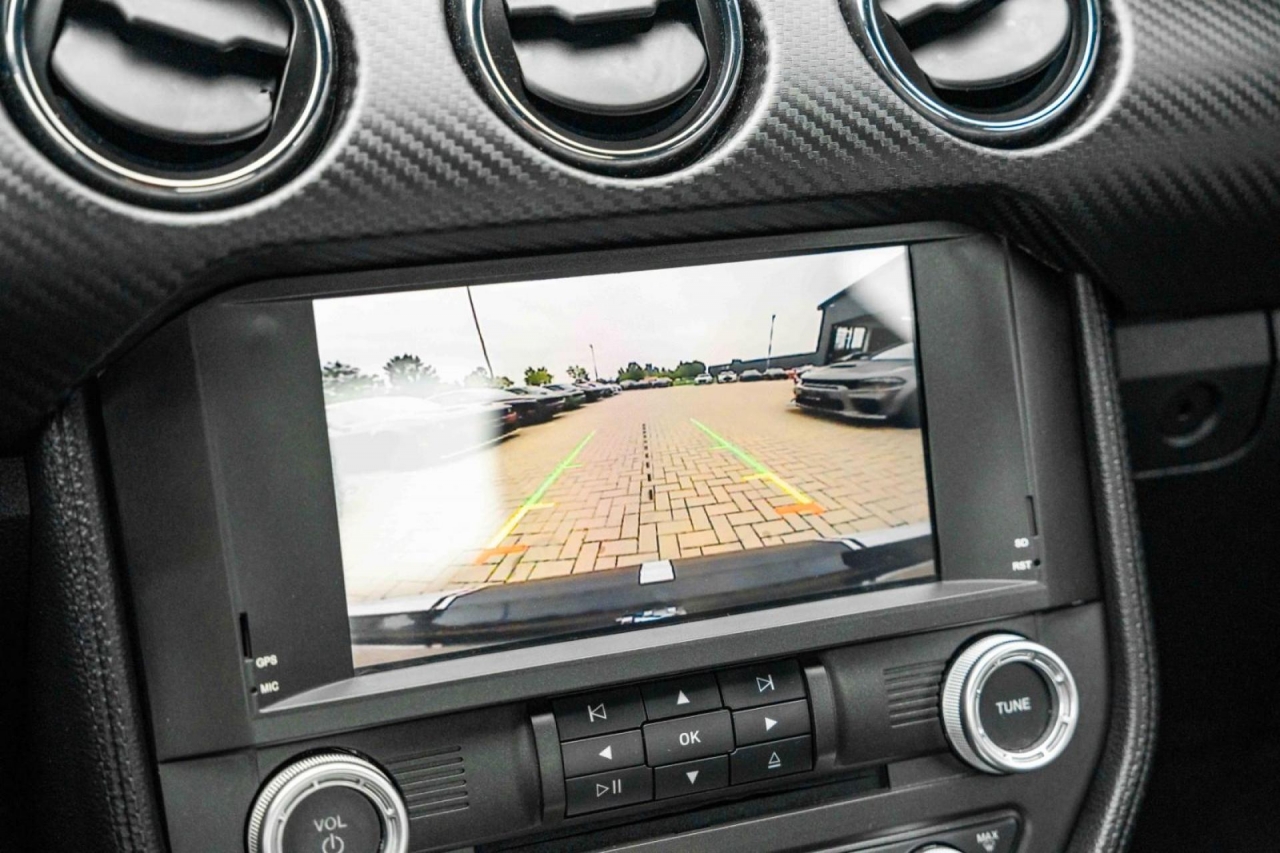 photo.jpg?1761576899