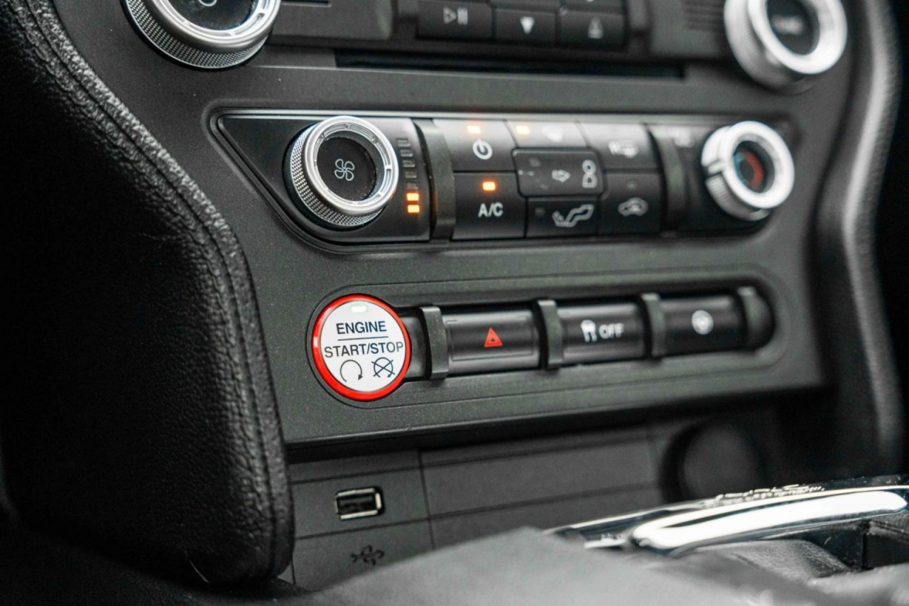 photo.jpg?1761576899