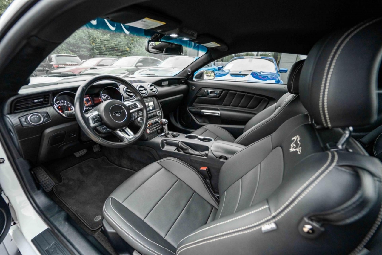 photo.jpg?1761576901