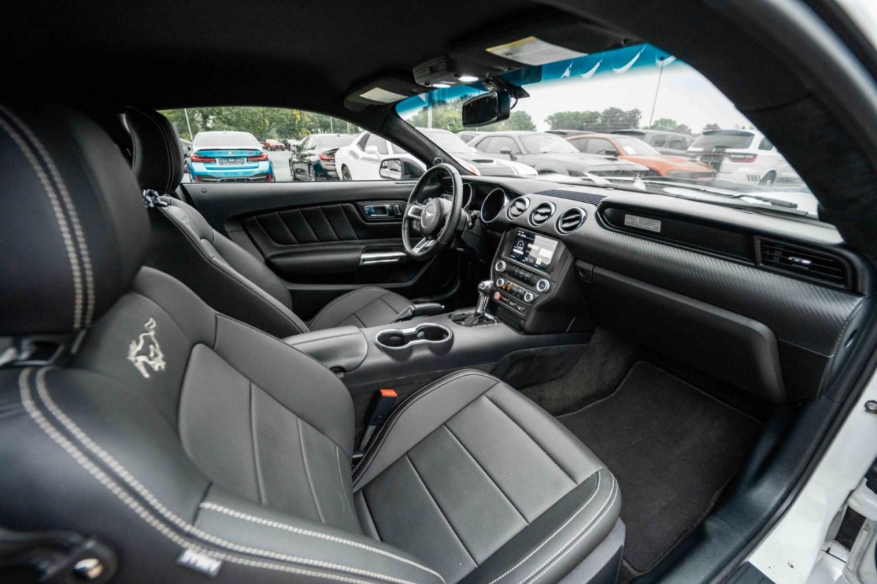 photo.jpg?1761576903