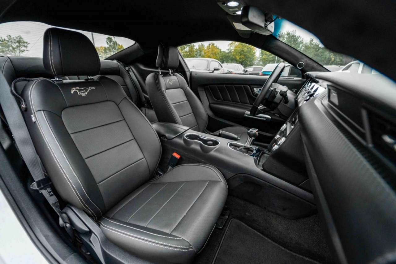 photo.jpg?1761576905