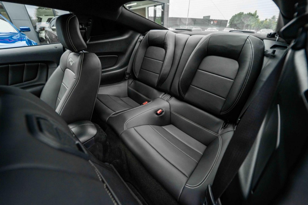 photo.jpg?1761576910