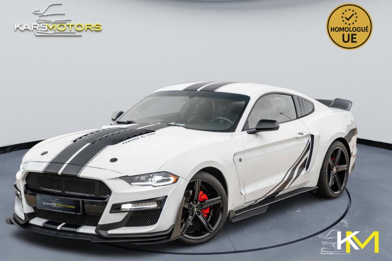 photo.jpg?1761577158