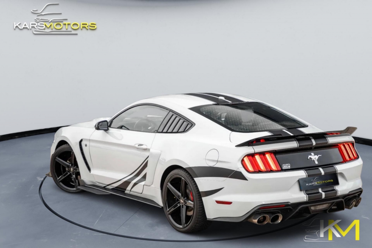 photo.jpg?1761577159