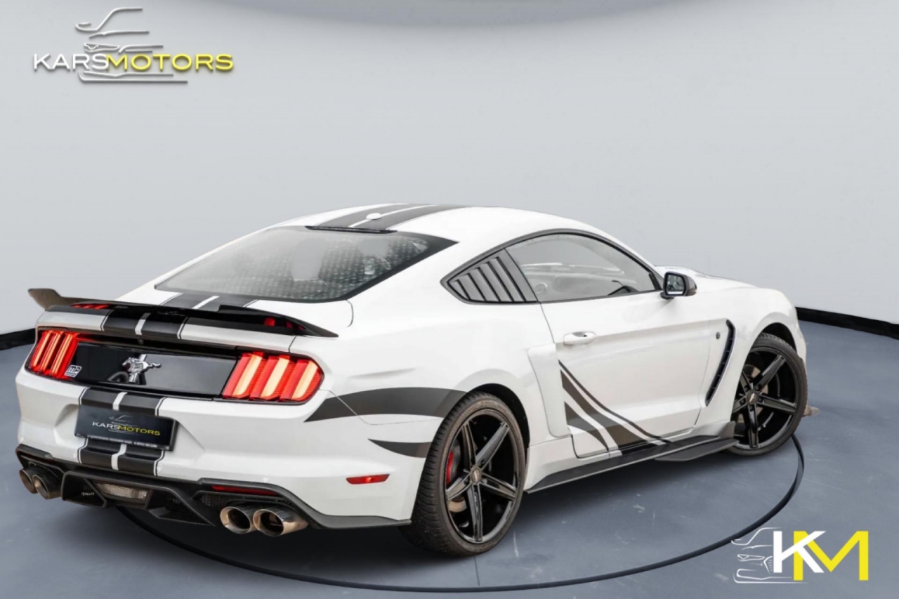 photo.jpg?1761577160