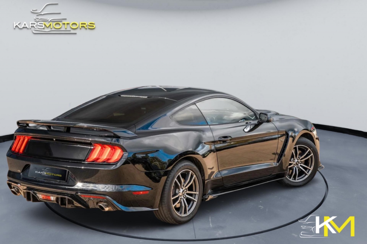 photo.jpg?1761577290