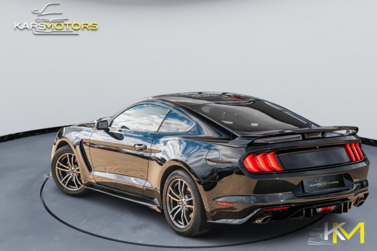 photo.jpg?1761577290