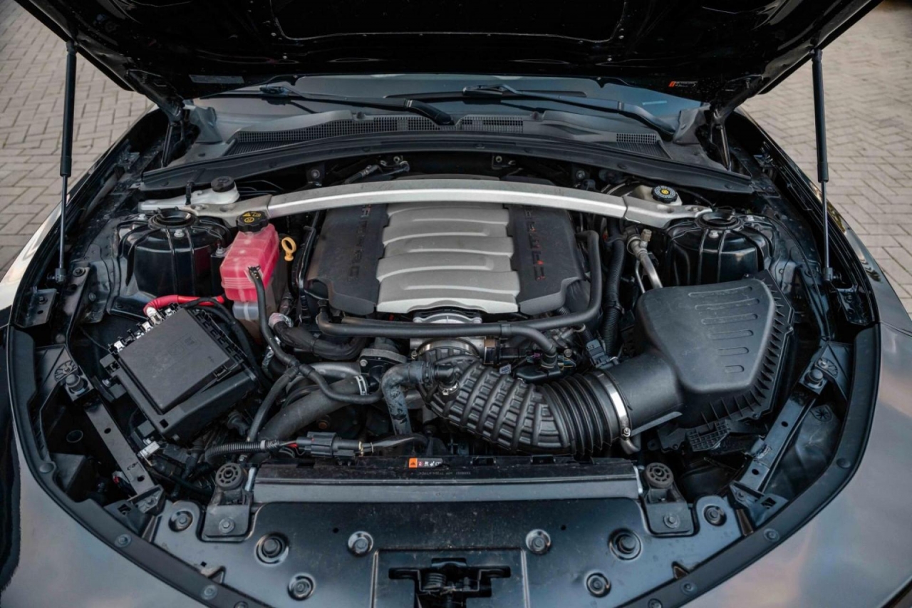 photo.jpg?1761577444