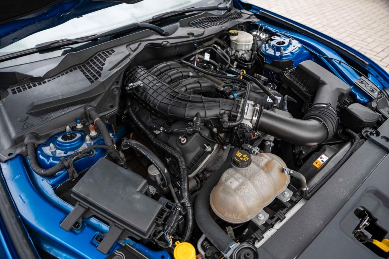 photo.jpg?1761644477