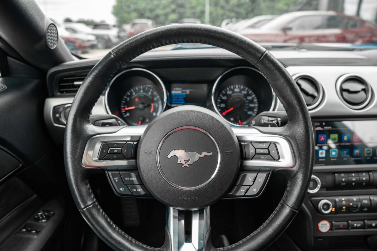 photo.jpg?1761644478