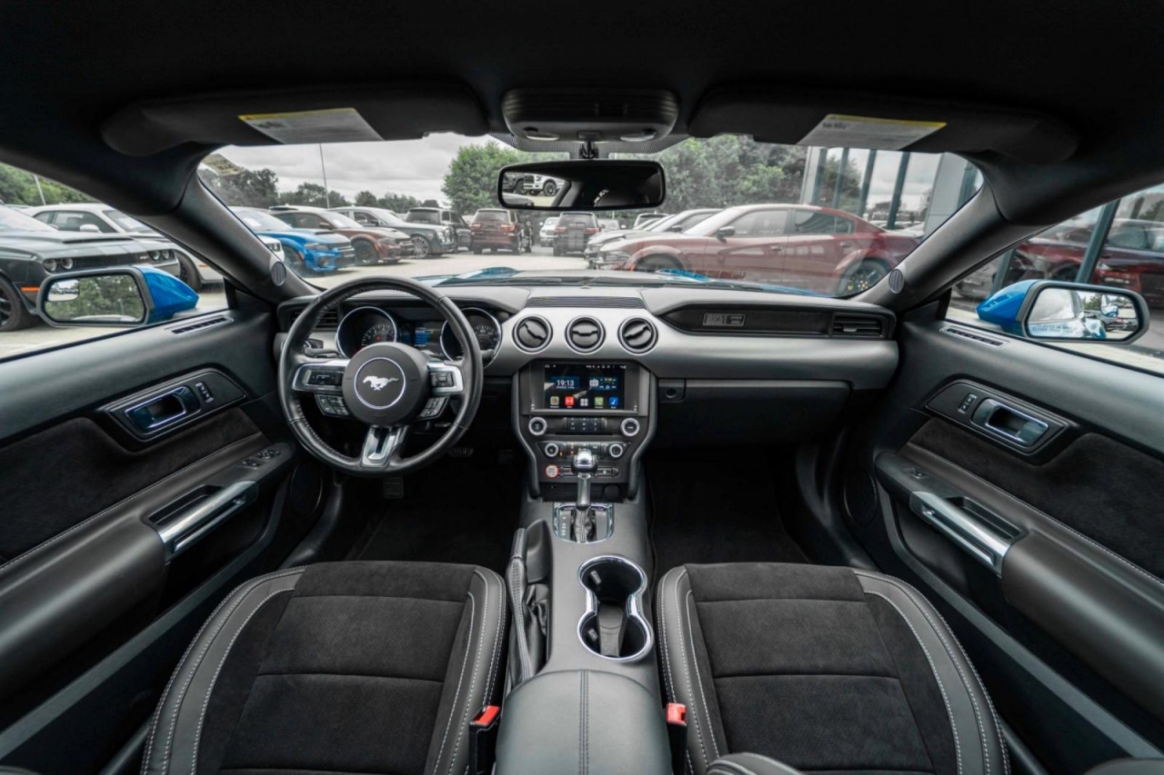 photo.jpg?1761644480