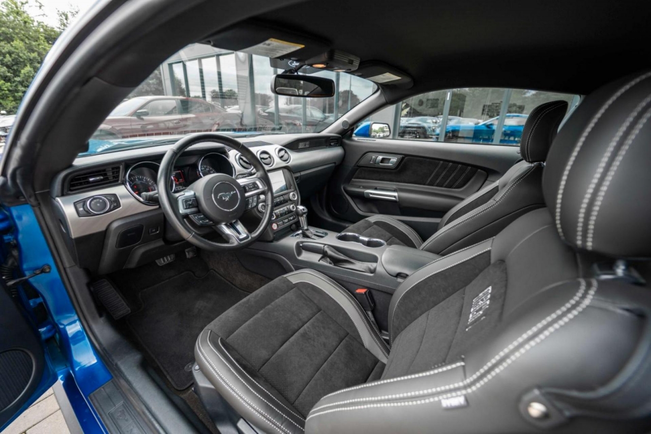 photo.jpg?1761644481