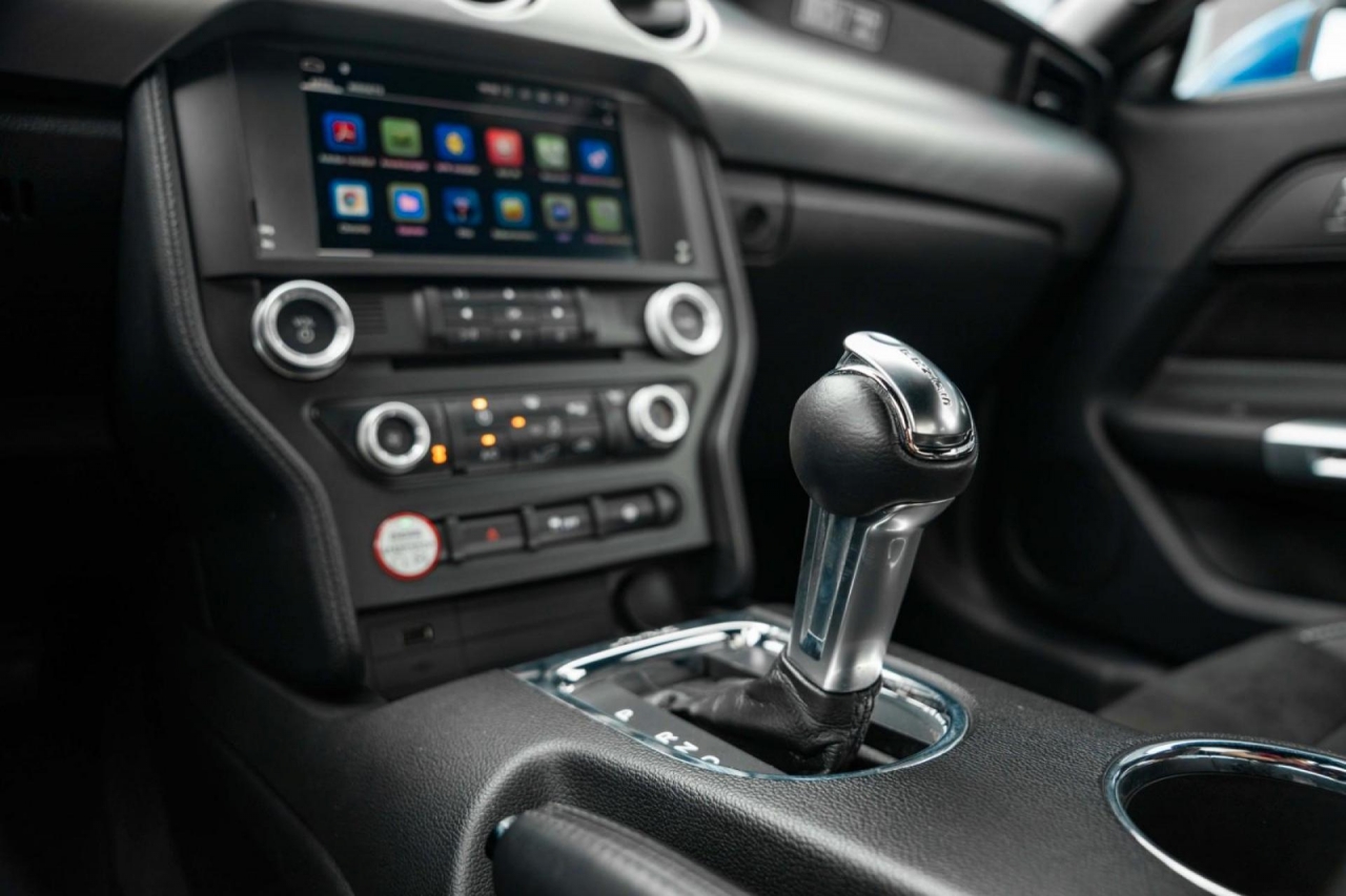 photo.jpg?1761644485