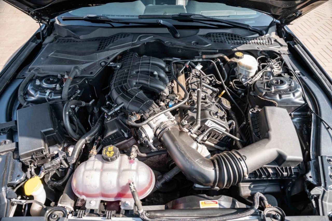 photo.jpg?1761644883