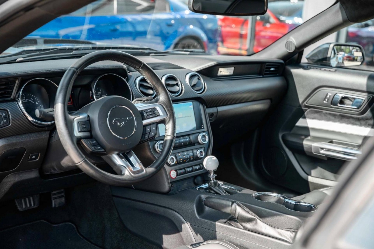 photo.jpg?1761644884