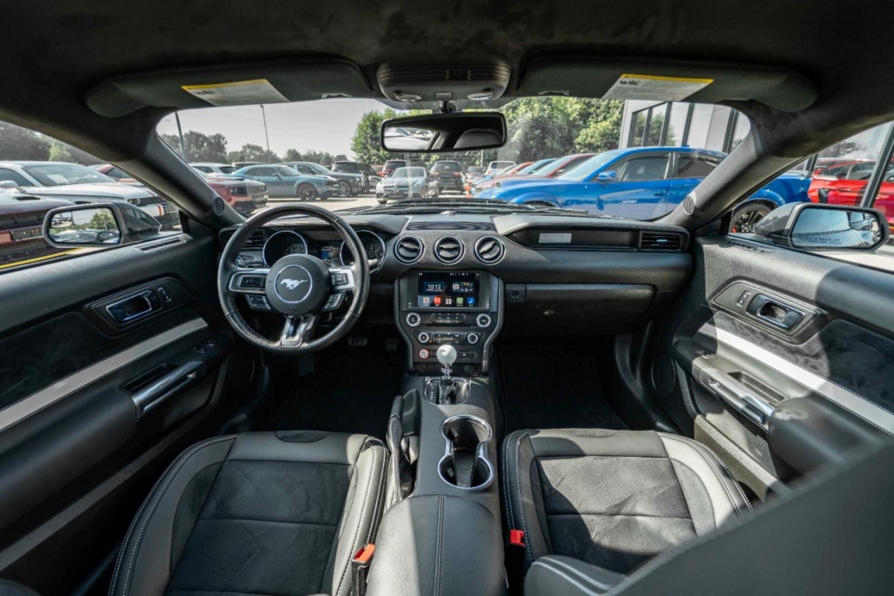 photo.jpg?1761644885