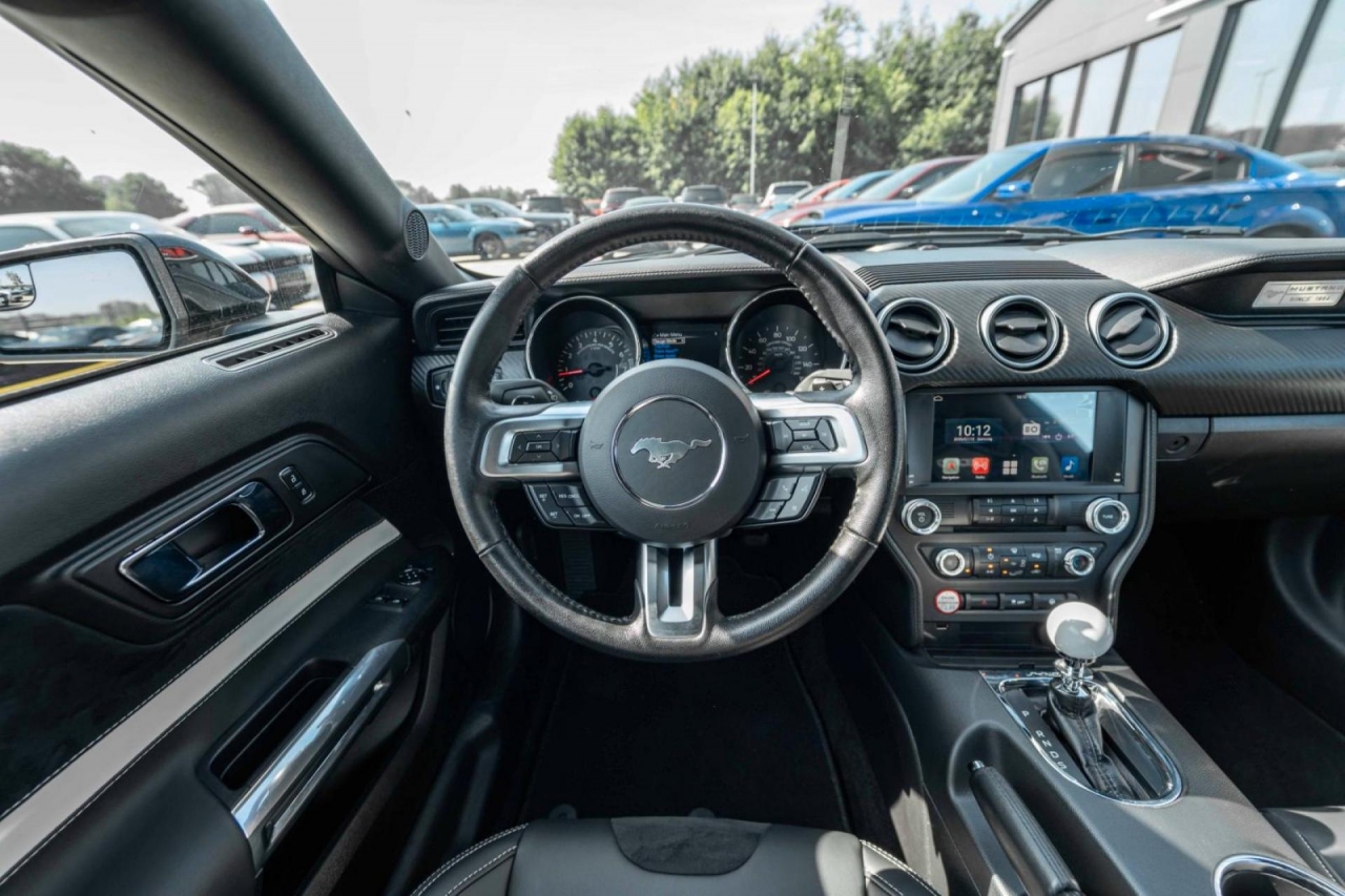 photo.jpg?1761644887