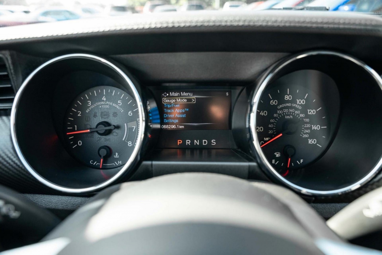 photo.jpg?1761644888