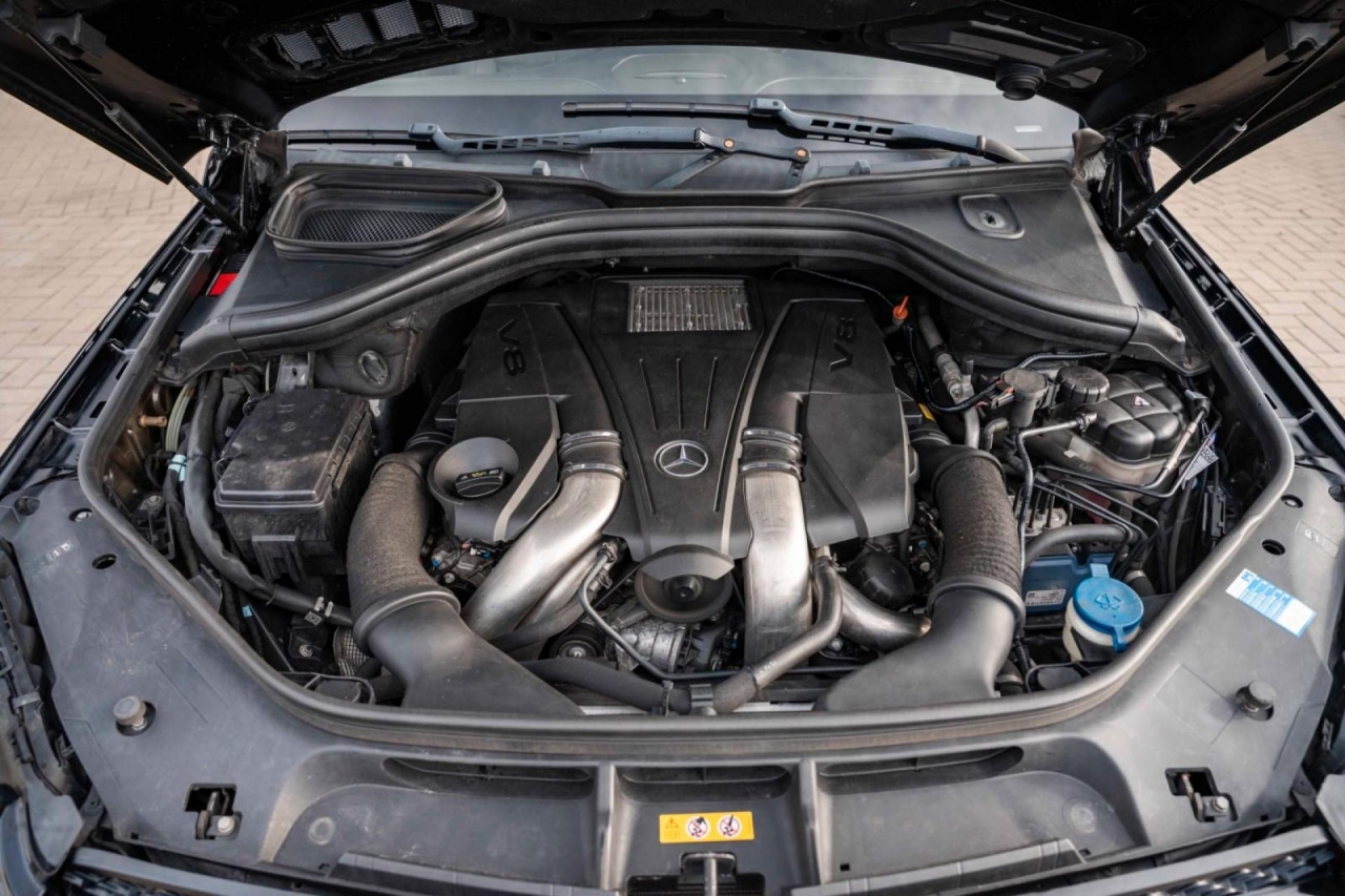 photo.jpg?1761644971