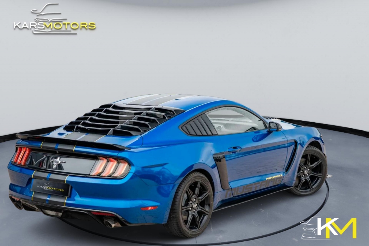 photo.jpg?1761645296