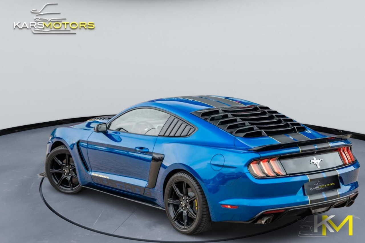 photo.jpg?1761645297