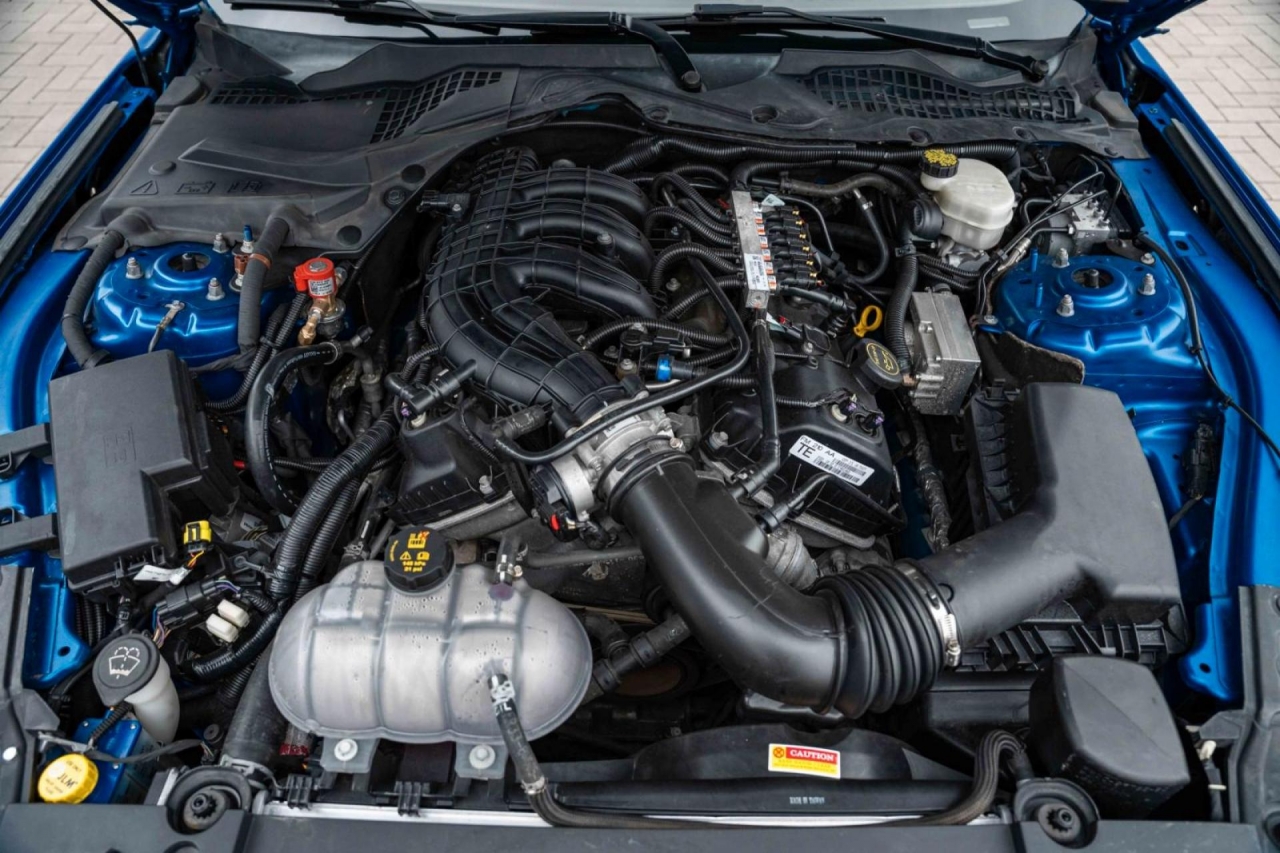 photo.jpg?1761645298