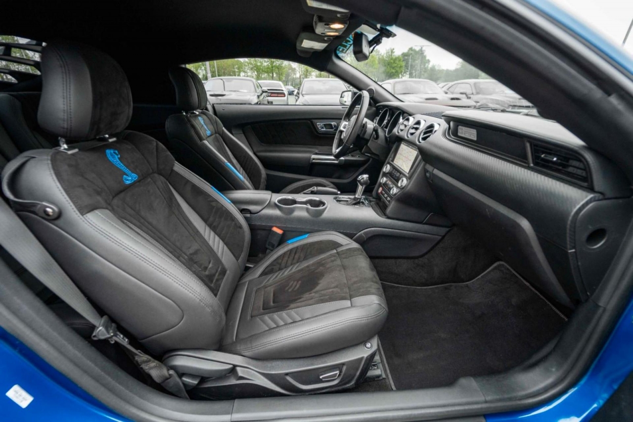 photo.jpg?1761645305