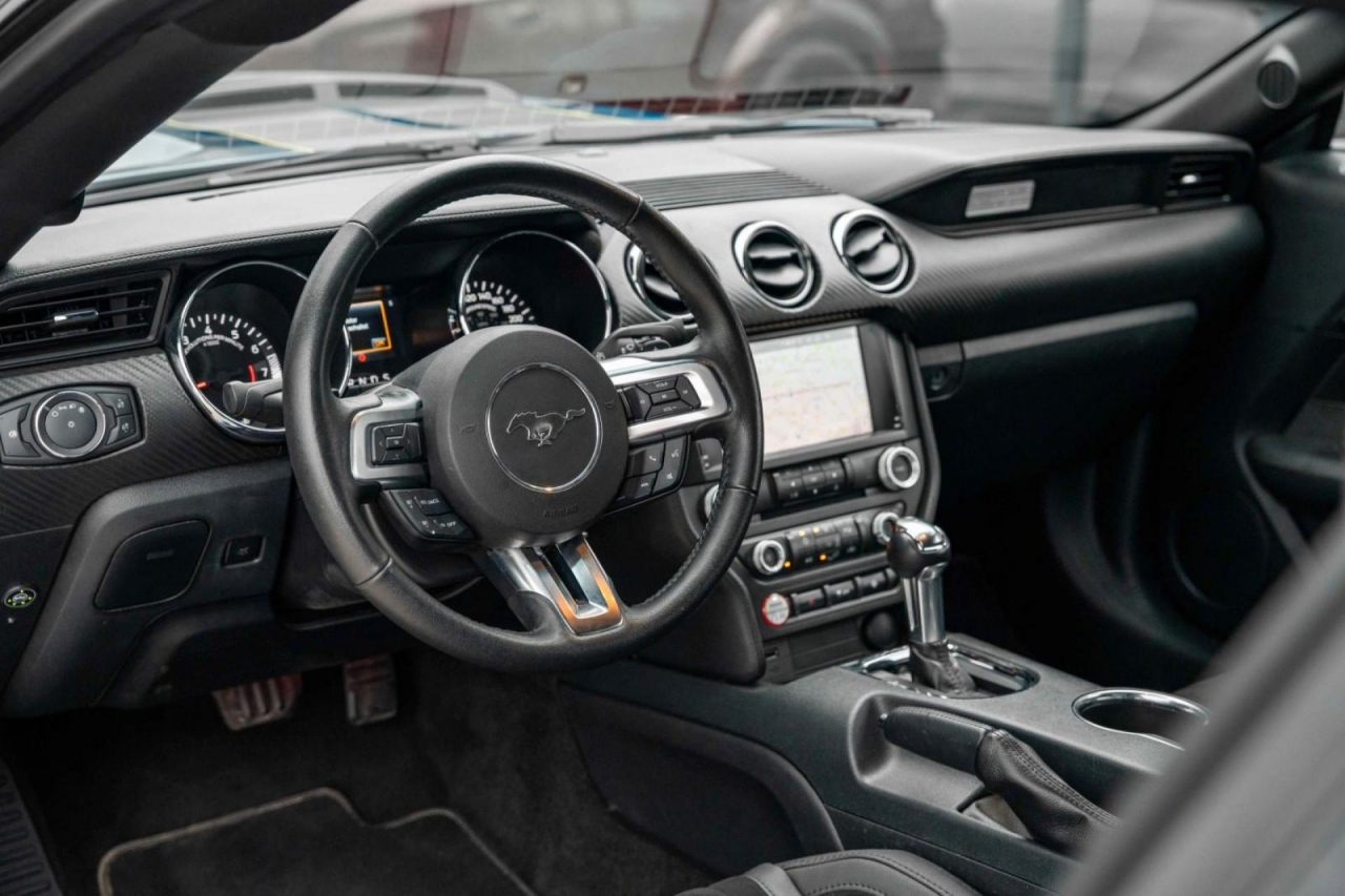 photo.jpg?1761645306