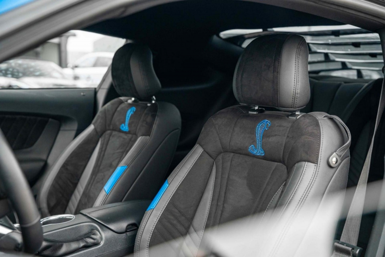 photo.jpg?1761645308