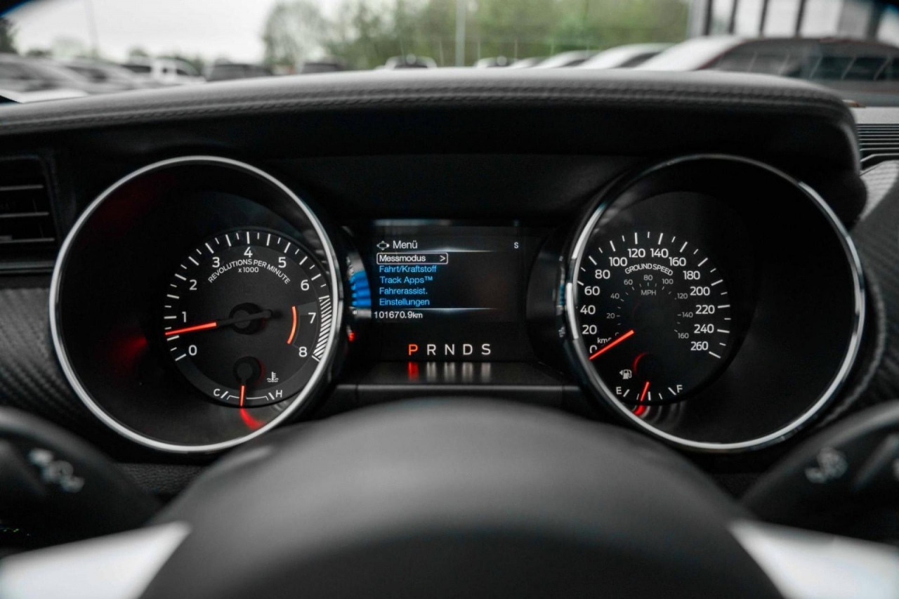 photo.jpg?1761645309