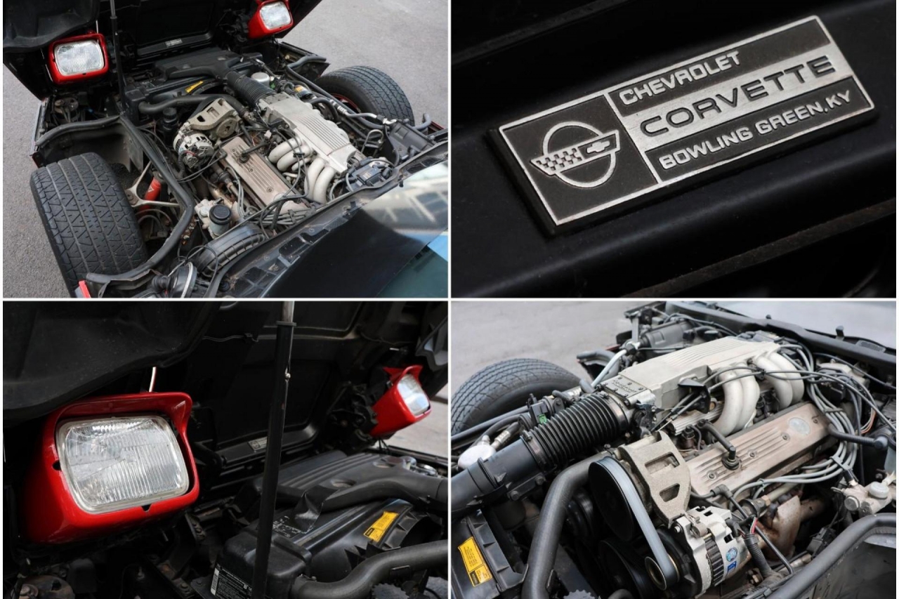 photo.jpg?1761664593