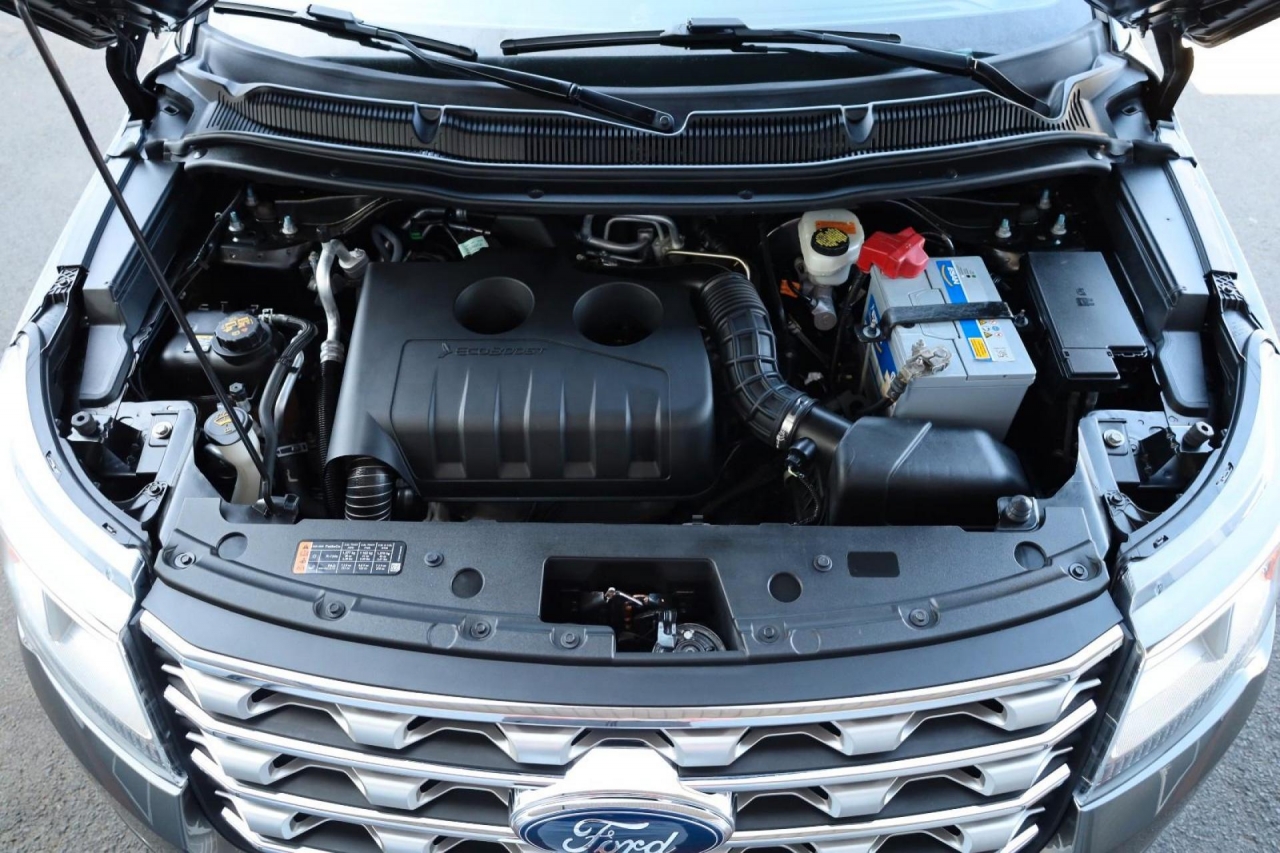 photo.jpg?1761664770