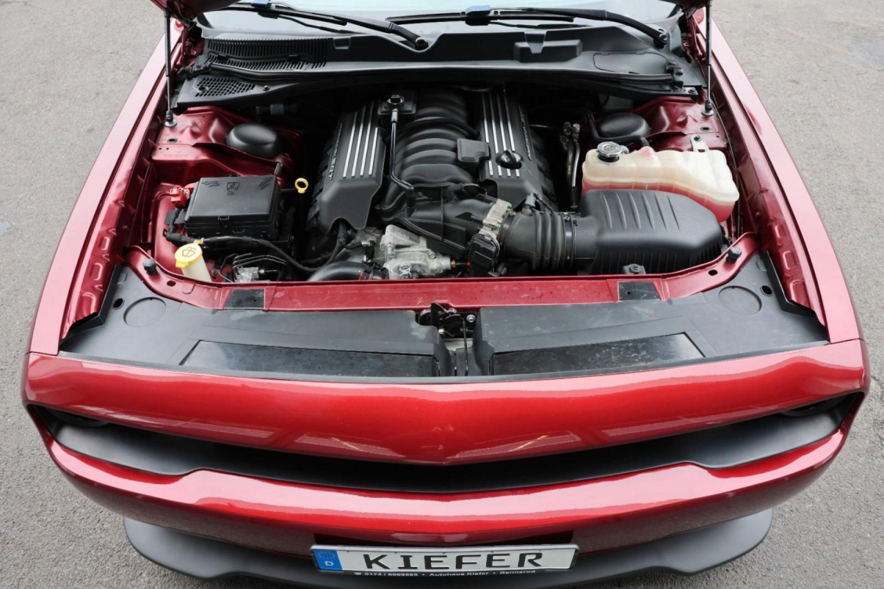 photo.jpg?1761754608