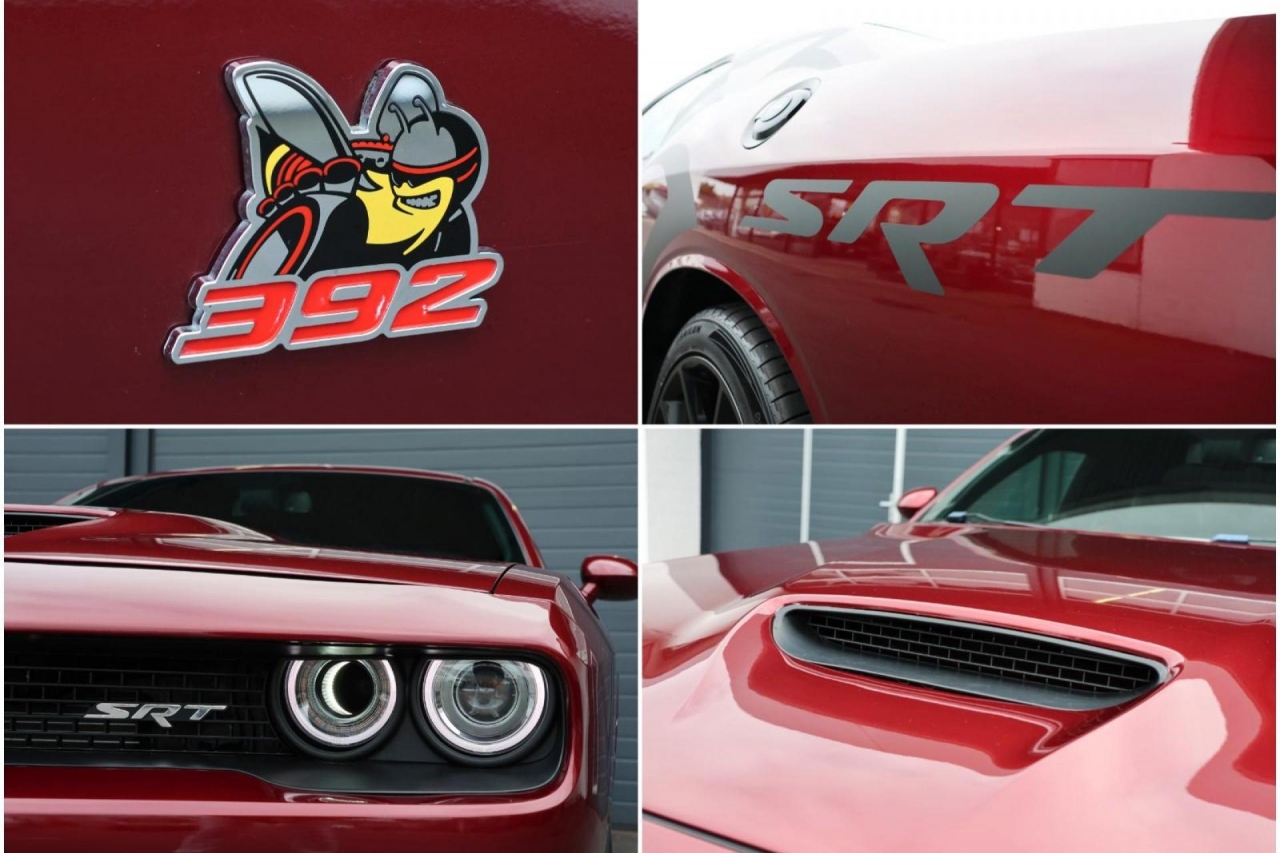 photo.jpg?1761754614