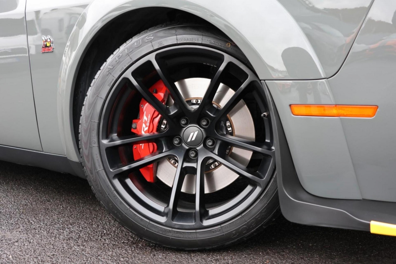 photo.jpg?1761755740