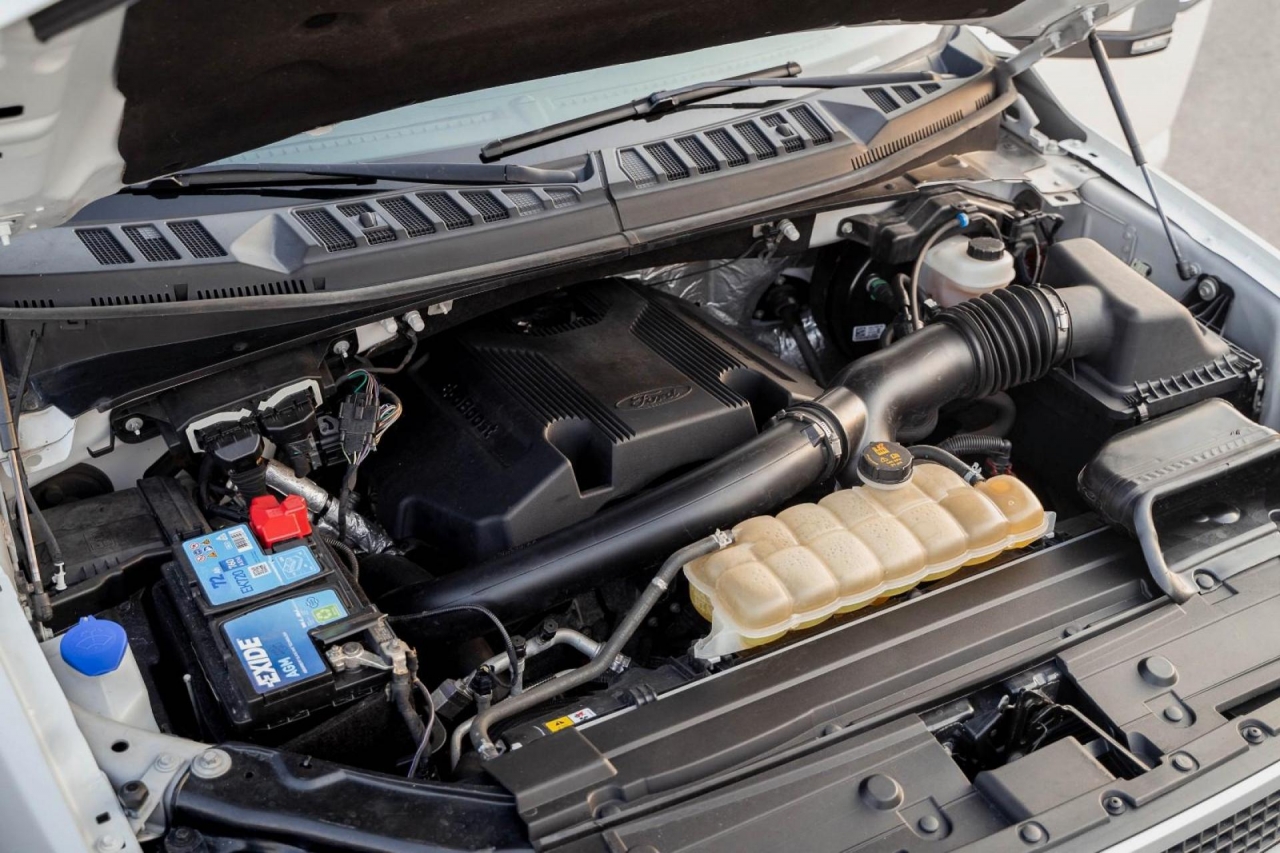 photo.jpg?1761757449