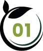 Écologique