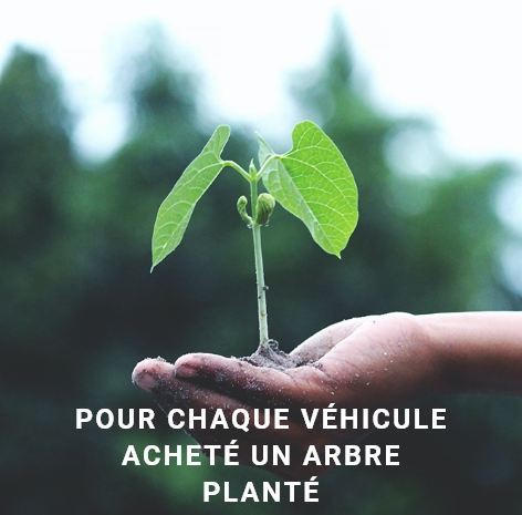 Pour chaque véhicule acheté, un arbre planté