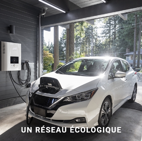 Réseau écologique