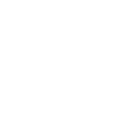 BD Auto Passion
