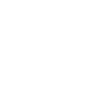 Vente vehicule occasion electrique