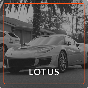 lotus