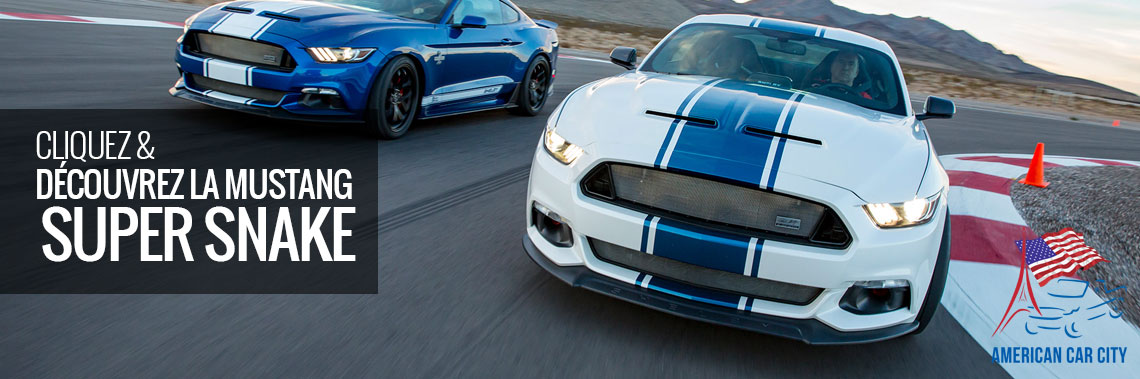 shelby-super-snake.jpg