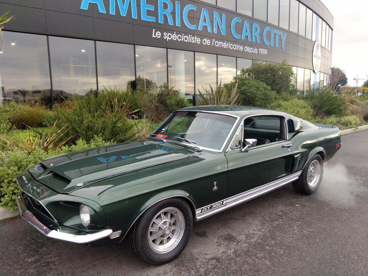FORD MUSTANG SHELBY GT350 Replica