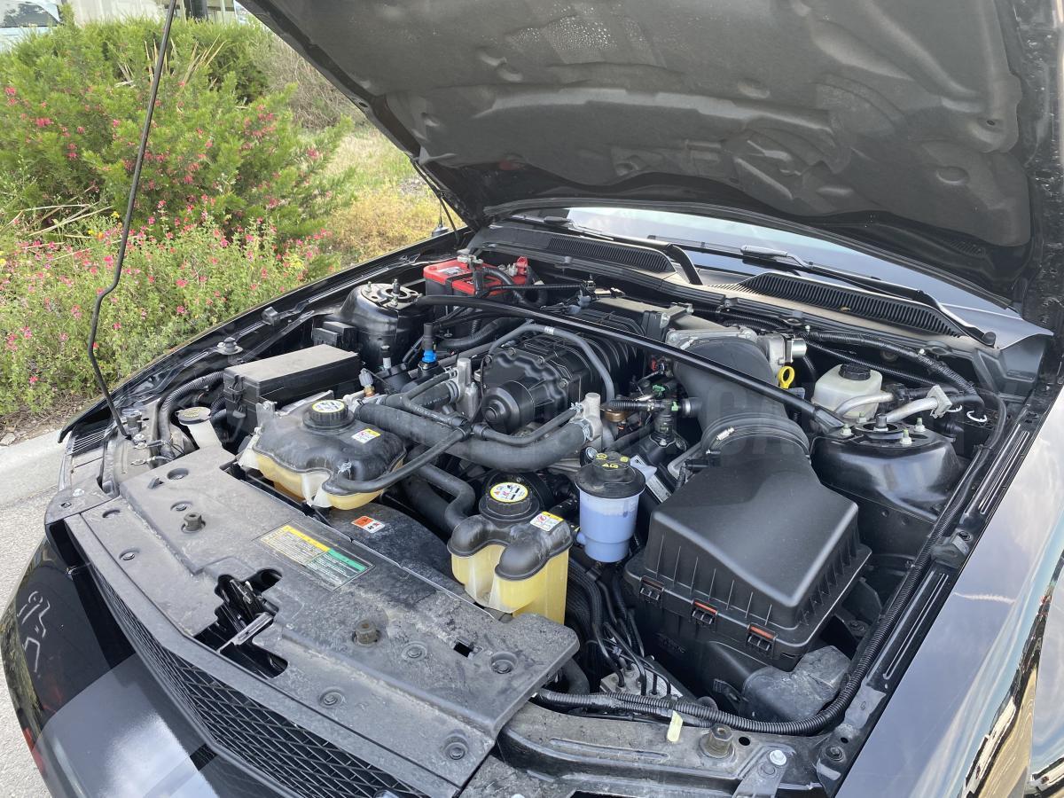 FORD MUSTANG SHELBY GT500 V8 5,4L 550CH