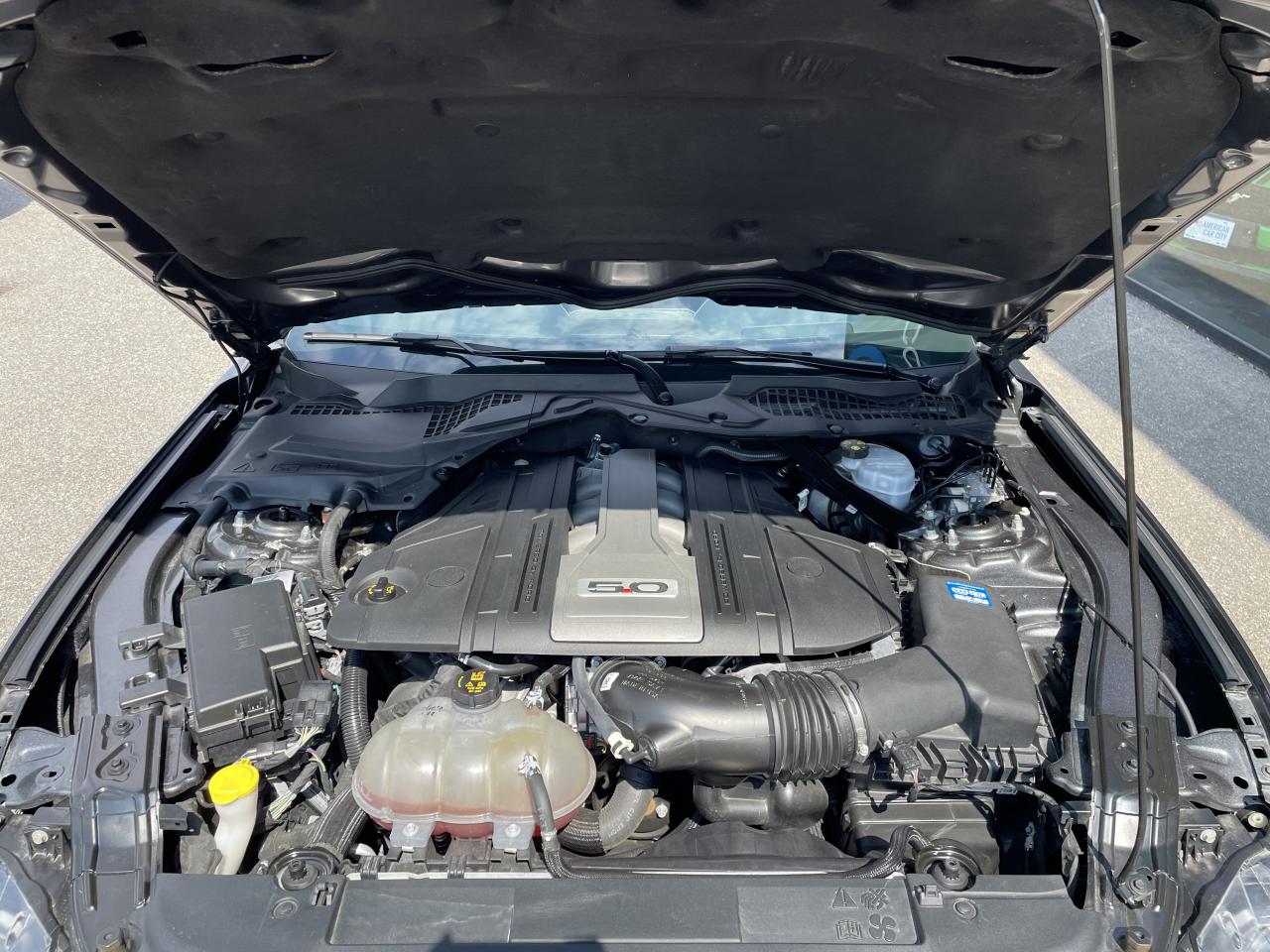 FORD MUSTANG GT V8 5.0L BVM 2018
