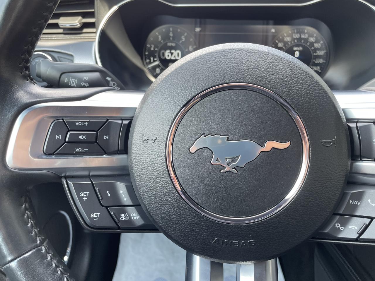 FORD MUSTANG GT V8 5.0L BVM 2018