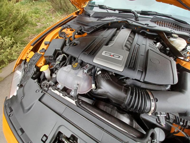 FORD MUSTANG GT V8 5.0L BVA10